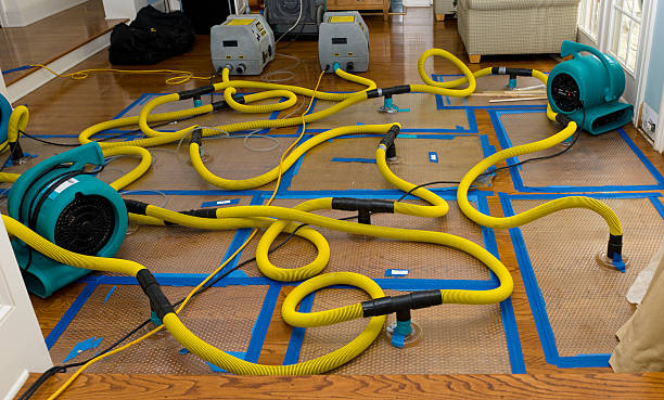 Professional Sewage Cleanup technician working in Napoleon, MO